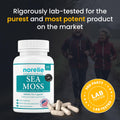 Sea Moss