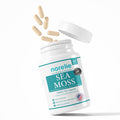 Sea Moss