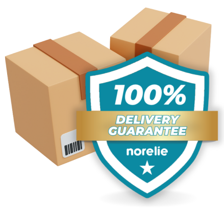 100% Delivery Guarantee - Norelie